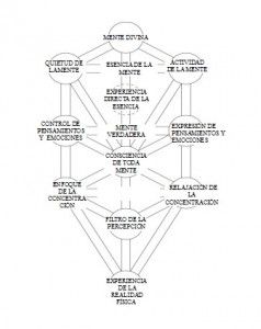 Árbol de la mente (2)