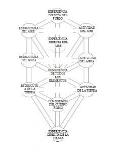 Árbol del cuerpo (2)