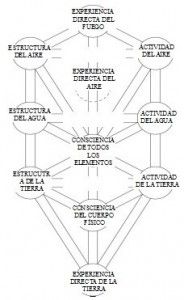 Árbol del cuerpo (3)